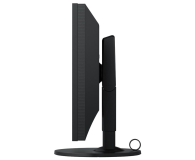 EIZO ColorEdge CS2740-BK + ColorNavigator CS2740-BK + CN - 572083 - zdjęcie 4